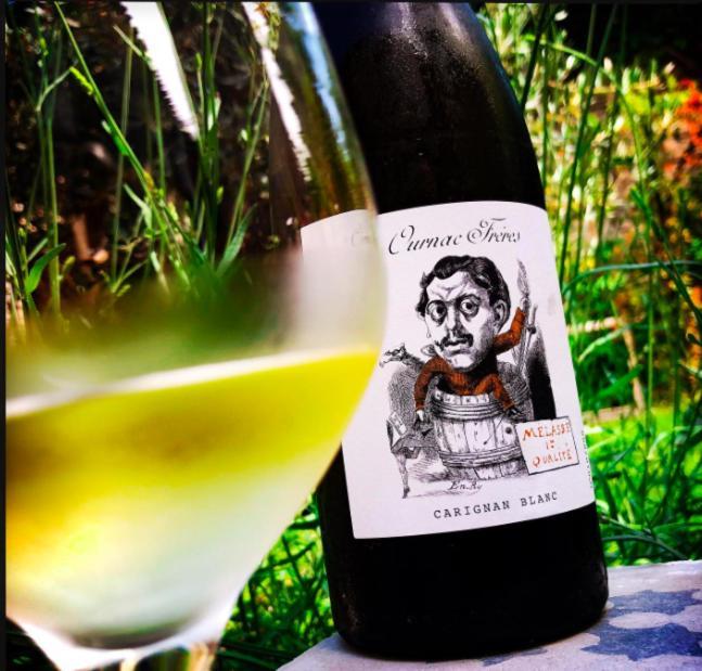 Maison Vigneronne De Bonne Maman - Climatisee Cesseras المظهر الخارجي الصورة