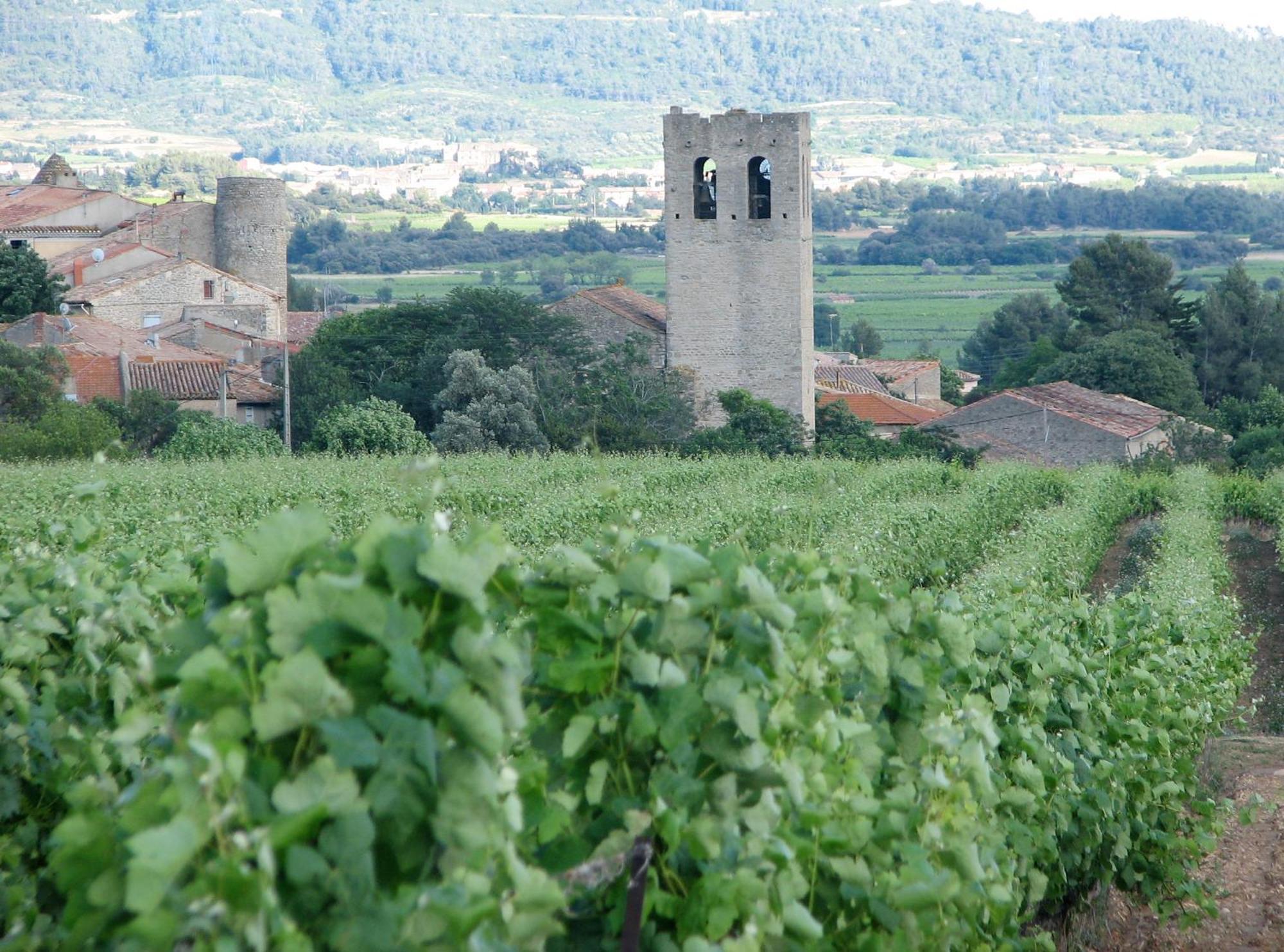 Maison Vigneronne De Bonne Maman - Climatisee Cesseras المظهر الخارجي الصورة