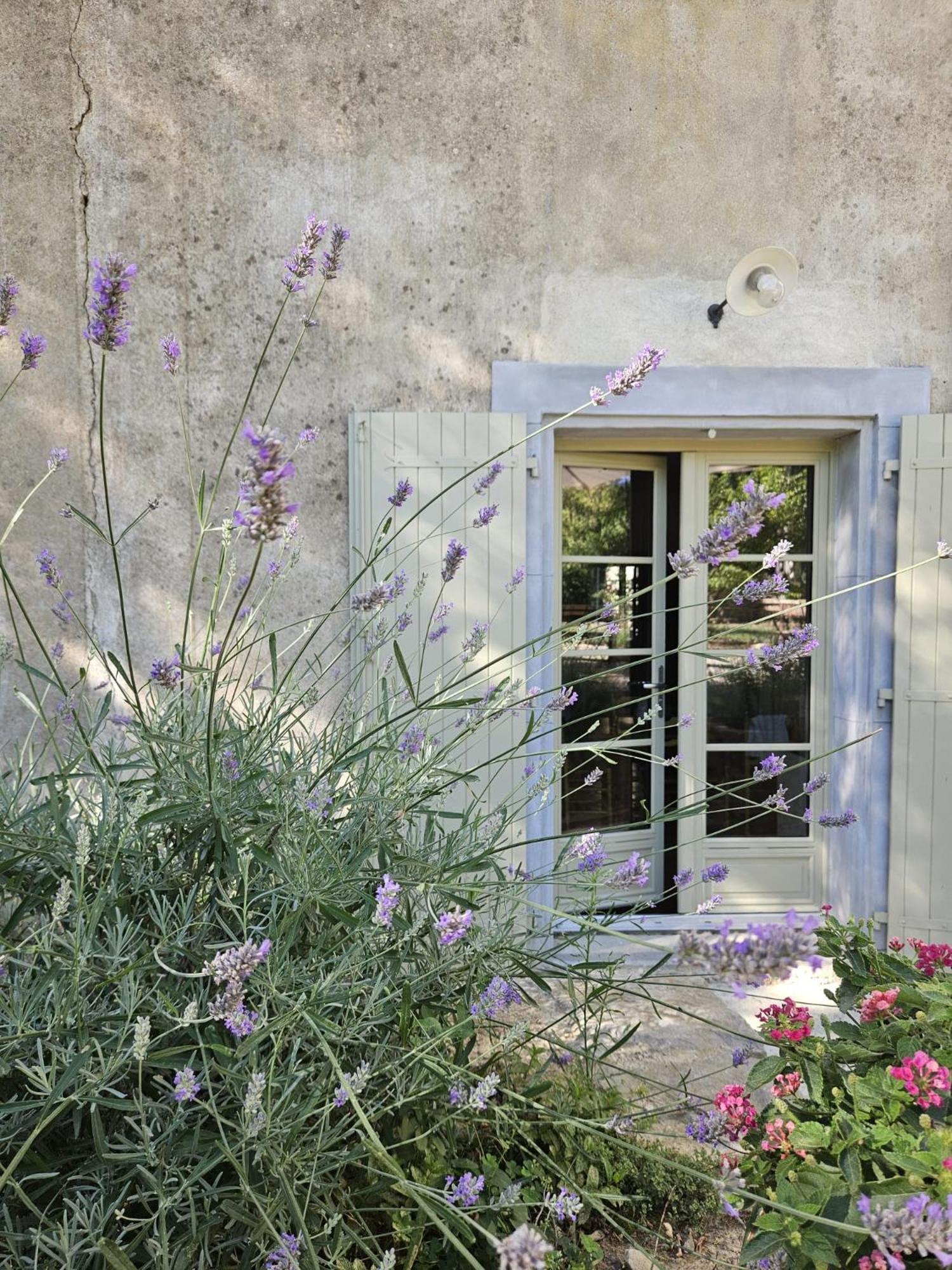 Maison Vigneronne De Bonne Maman - Climatisee Cesseras المظهر الخارجي الصورة